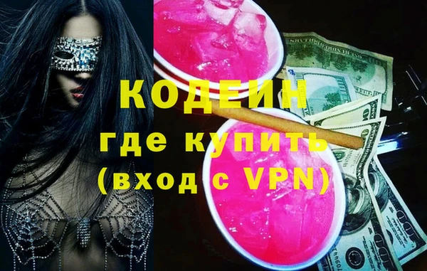 индика Алексин
