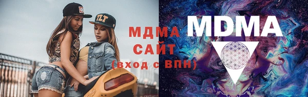 индика Алексин